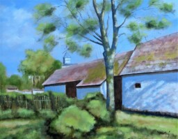 Z Blata  50x65